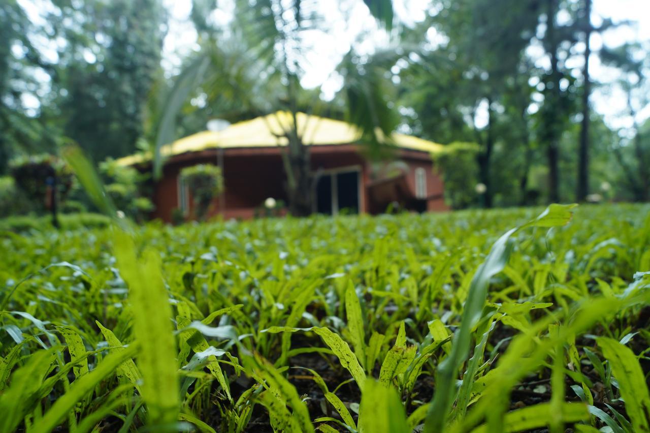 Dudhsagar Spa Resort Molem Exterior photo